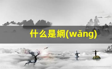 什么是網(wǎng)絡(luò )經(jīng)營(yíng)插圖